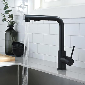 Pull Out 360° Swivel Spout Kitchen Faucet