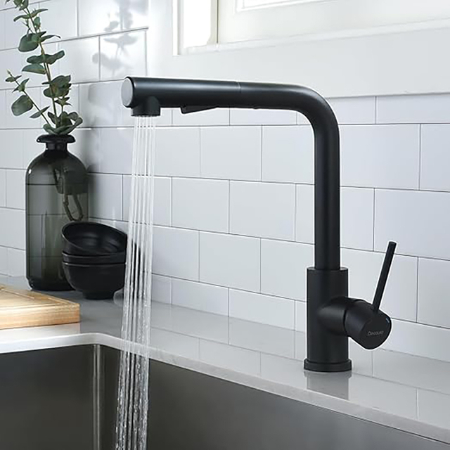 Pull Out 360° Swivel Spout Kitchen Faucet