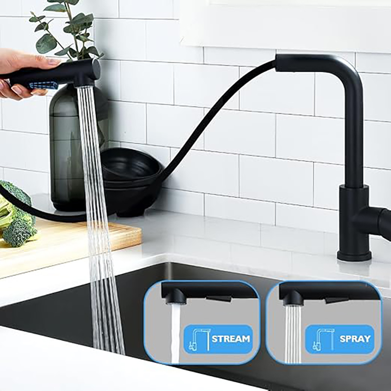 Pull Out 360° Swivel Spout Kitchen Faucet
