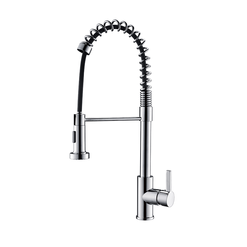 Pull Out 2-Mode Sprayer Laundry Faucet
